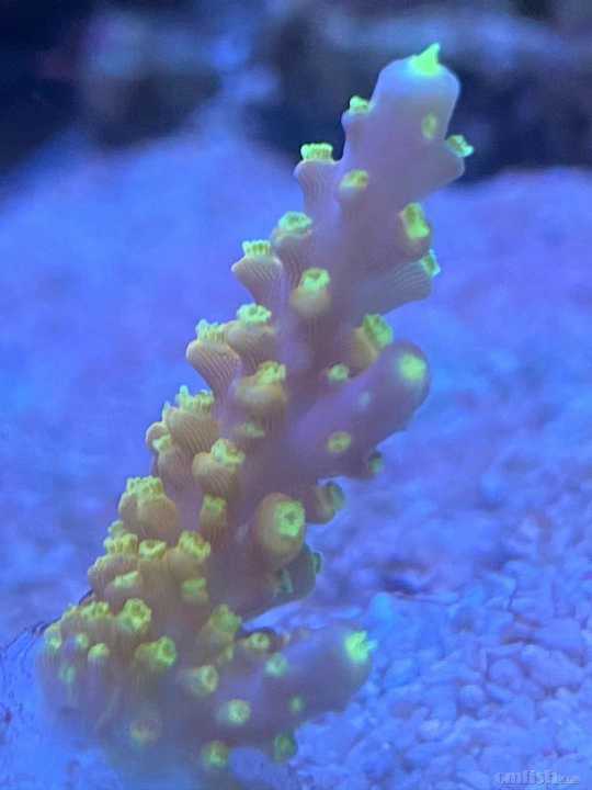 ΢��ͼƬ_202110221011496.jpg