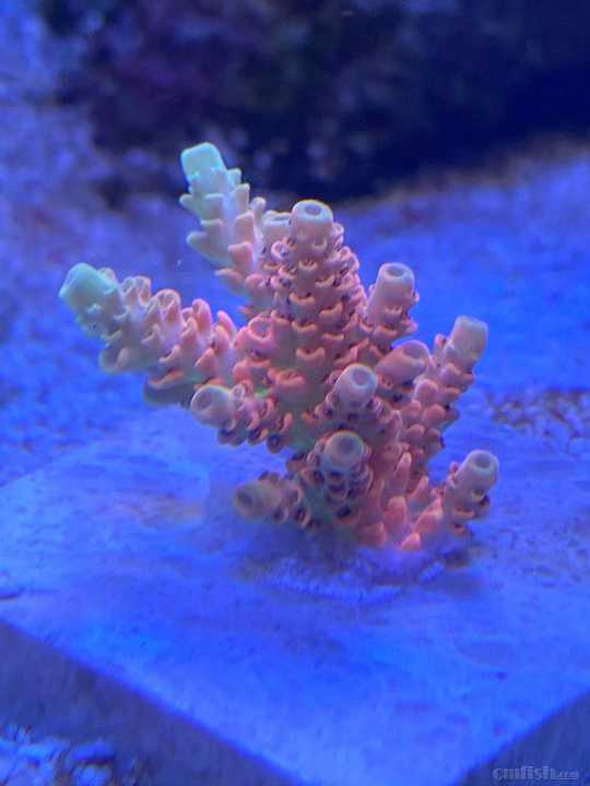 ΢��ͼƬ_2021102210114910.jpg
