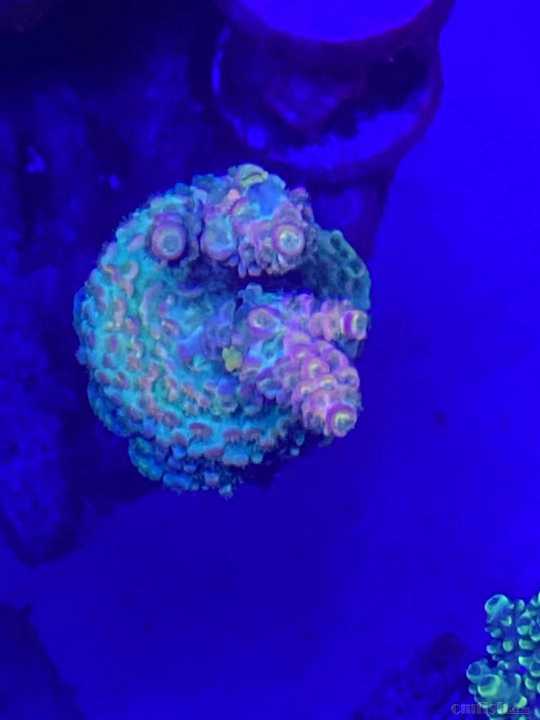 ΢��ͼƬ_2021102210114914.jpg