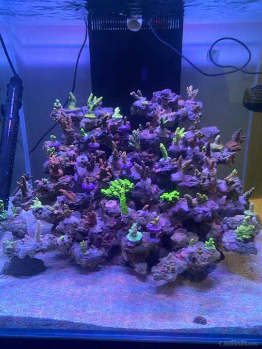 ΢��ͼƬ_2021102210114924.jpg