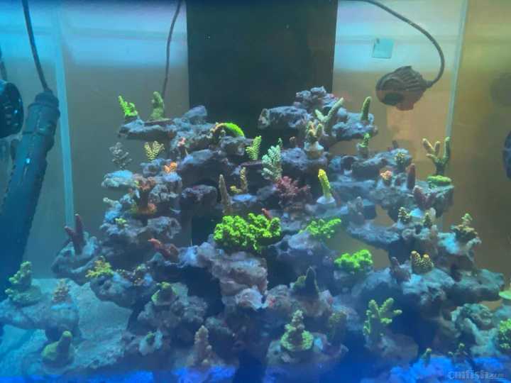 ΢��ͼƬ_2021102210114920.jpg