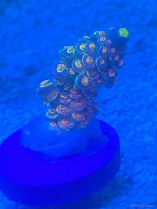 ΢��ͼƬ_2021102210114922.jpg