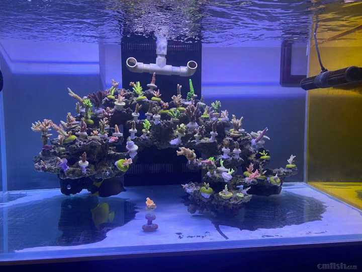΢��ͼƬ_2021102210114926.jpg