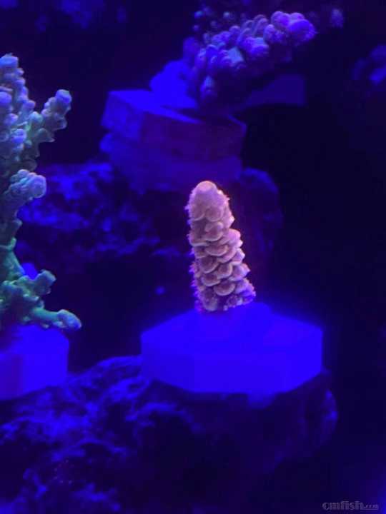 ΢��ͼƬ_20211022103146.jpg