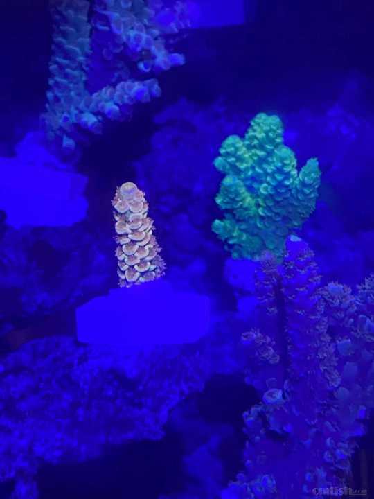 ΢��ͼƬ_202110221031451.jpg