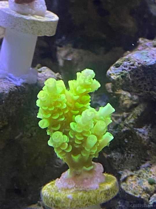 ΢��ͼƬ_202110221031465.jpg