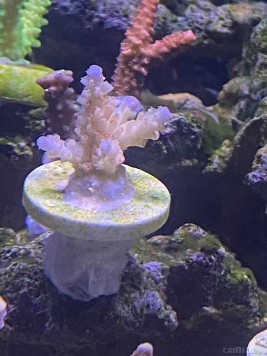 ΢��ͼƬ_202110221031468.jpg