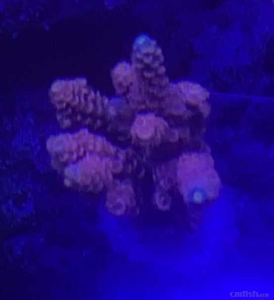 ΢��ͼƬ_202110221031467.jpg