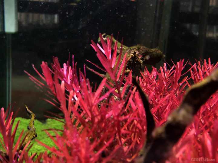 ΢��ͼƬ_202110221630311.jpg