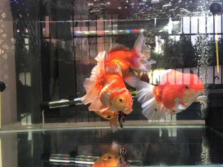΢��ͼƬ_20211022163031.jpg