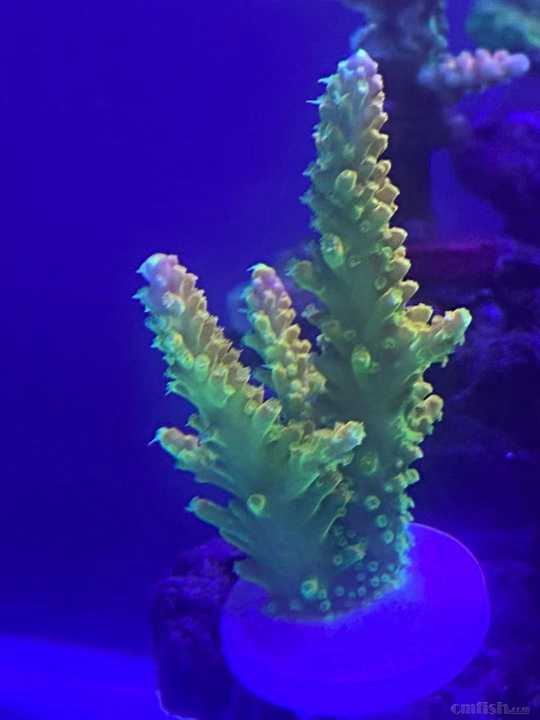 ΢��ͼƬ_202110251200294.jpg