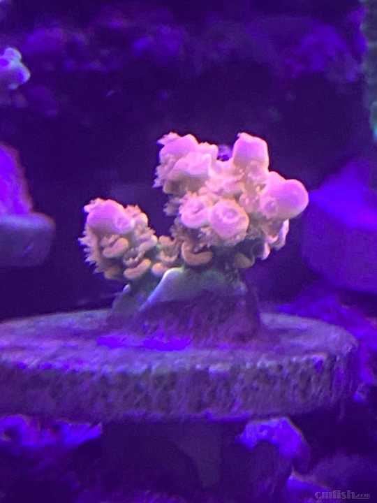 ΢��ͼƬ_202110251200293.jpg