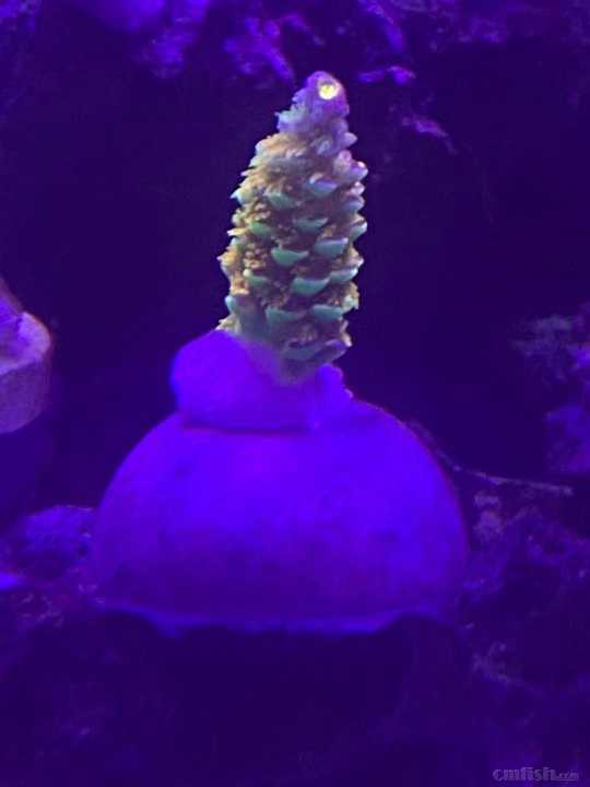 ΢��ͼƬ_202110251200297.jpg