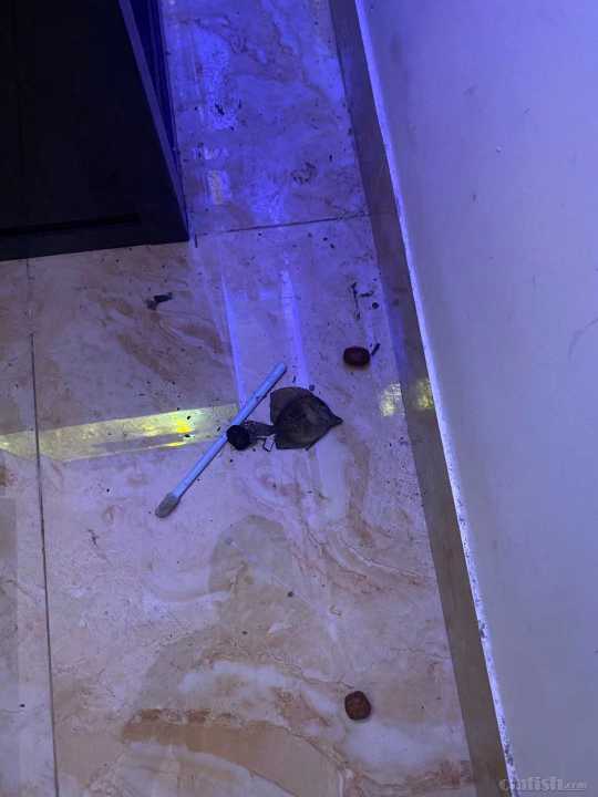 ΢��ͼƬ_20211025172933.jpg