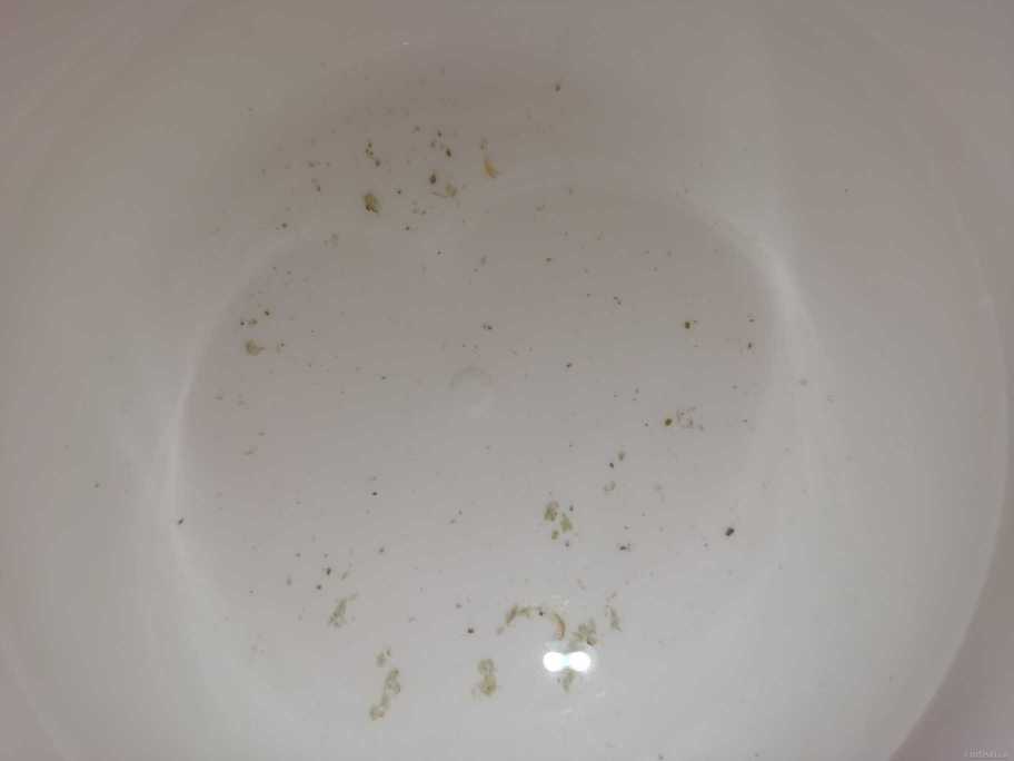 1636196692883.jpg
