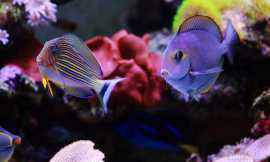 9D9A9439.jpg