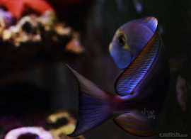 9D9A9389.jpg