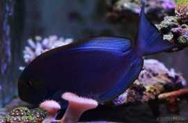 9D9A9399.jpg