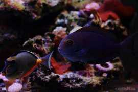 9D9A9416.jpg