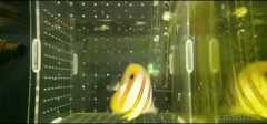 Videoframe_20211120_220758_com.huawei.himovie.jpg