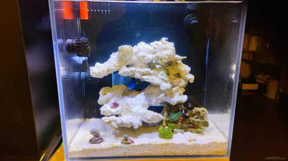 2021.11.25���Ϸ�һ��ɺ ��