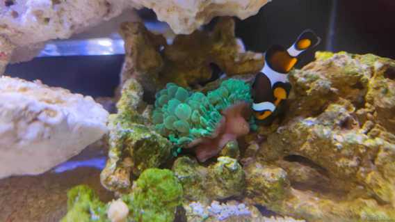 2021.11.25���ϣ������״̬