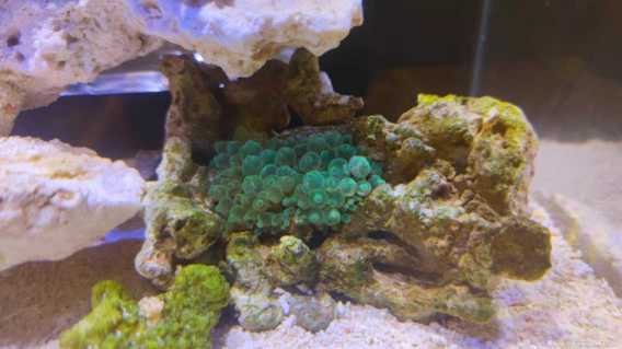 2021.11.26 �糿״̬