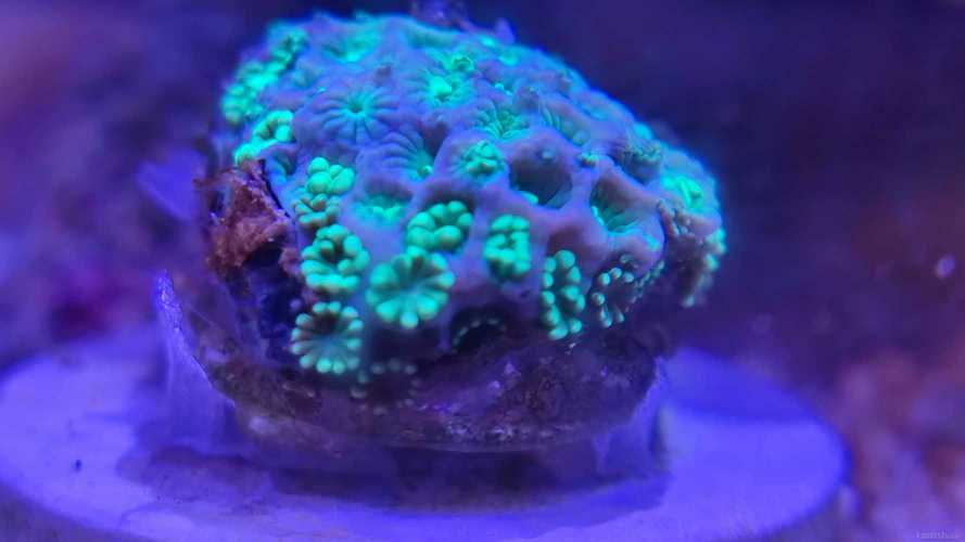 ����û��