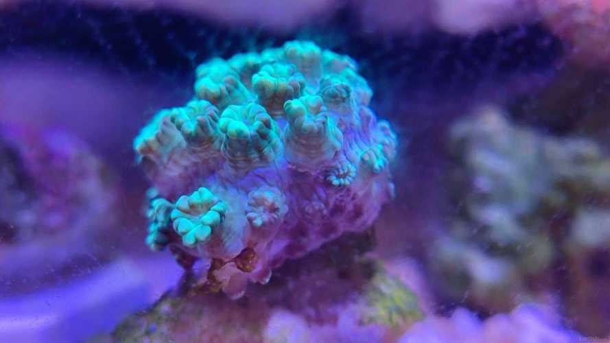 ����û��