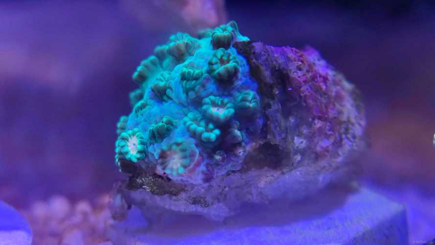 ����û��