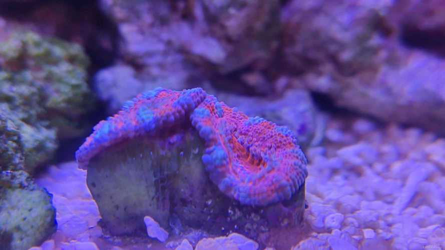 ����Կ���ˮ������