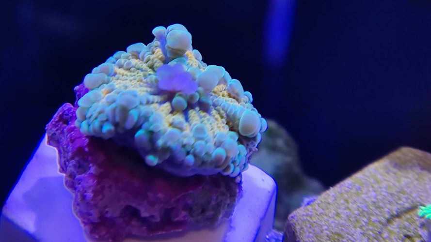 �е������