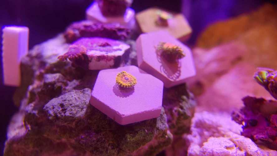 �˷��� ���� �ۻʺͲ�֪��