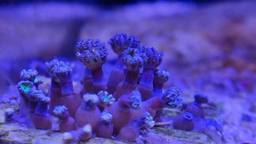 ���ǻ�û��