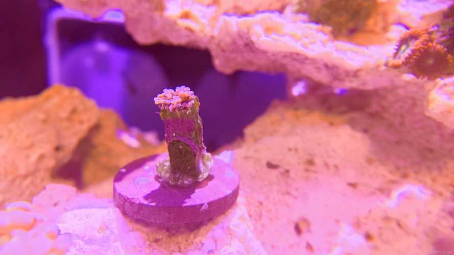 emmm������г����