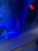 IMG_0736.jpg