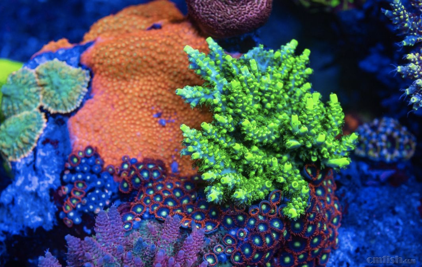 ����2021-12-30 ����2.32.47.png