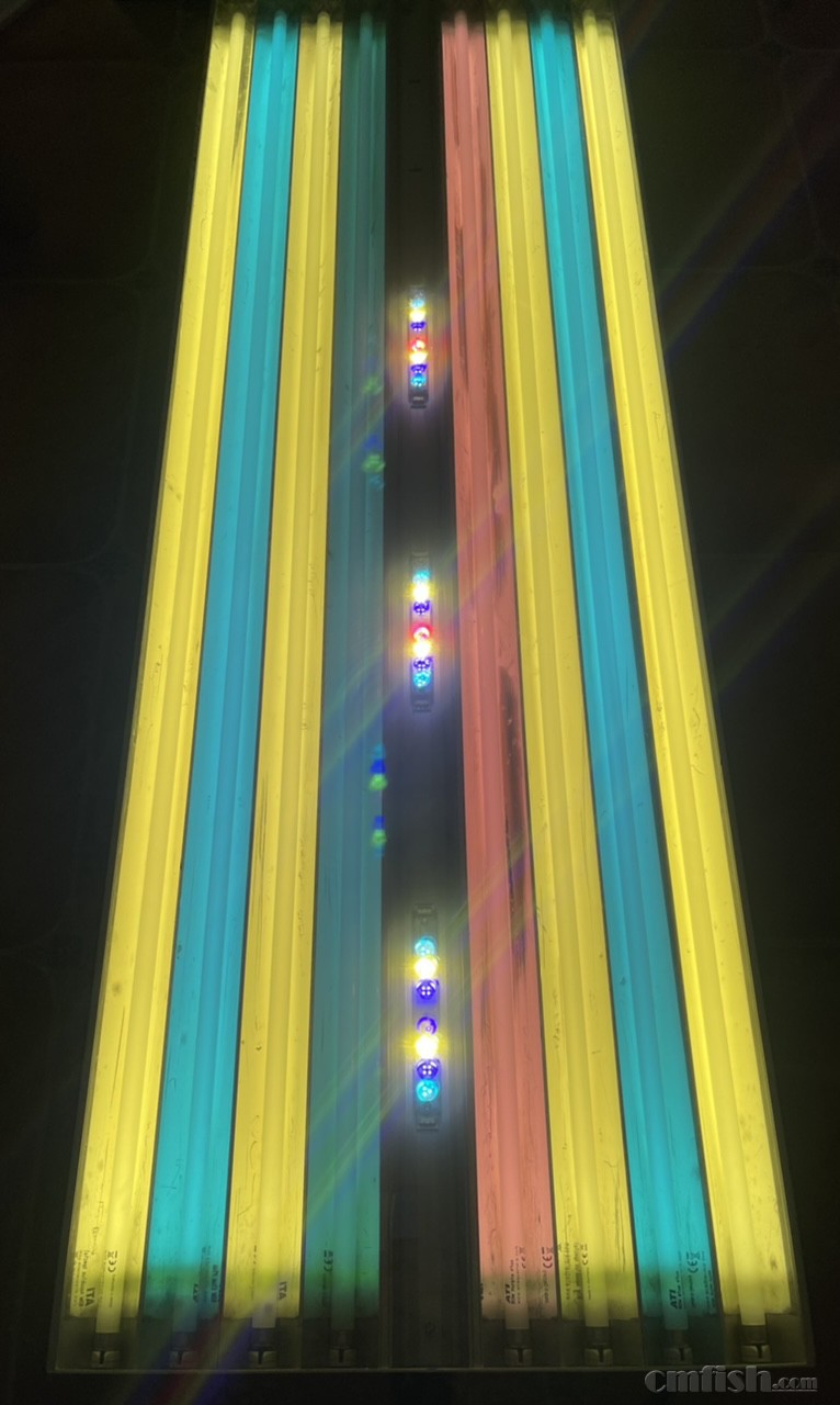 64514407-19EB-4984-9501-809233C71A93.jpeg