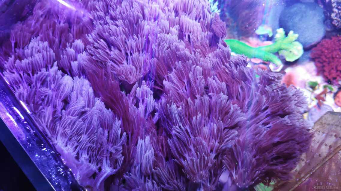 ΢��ͼƬ_20220303114310.jpg