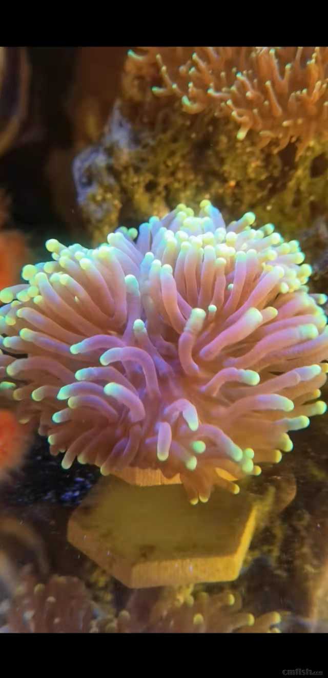΢��ͼƬ_20220324171902.jpg