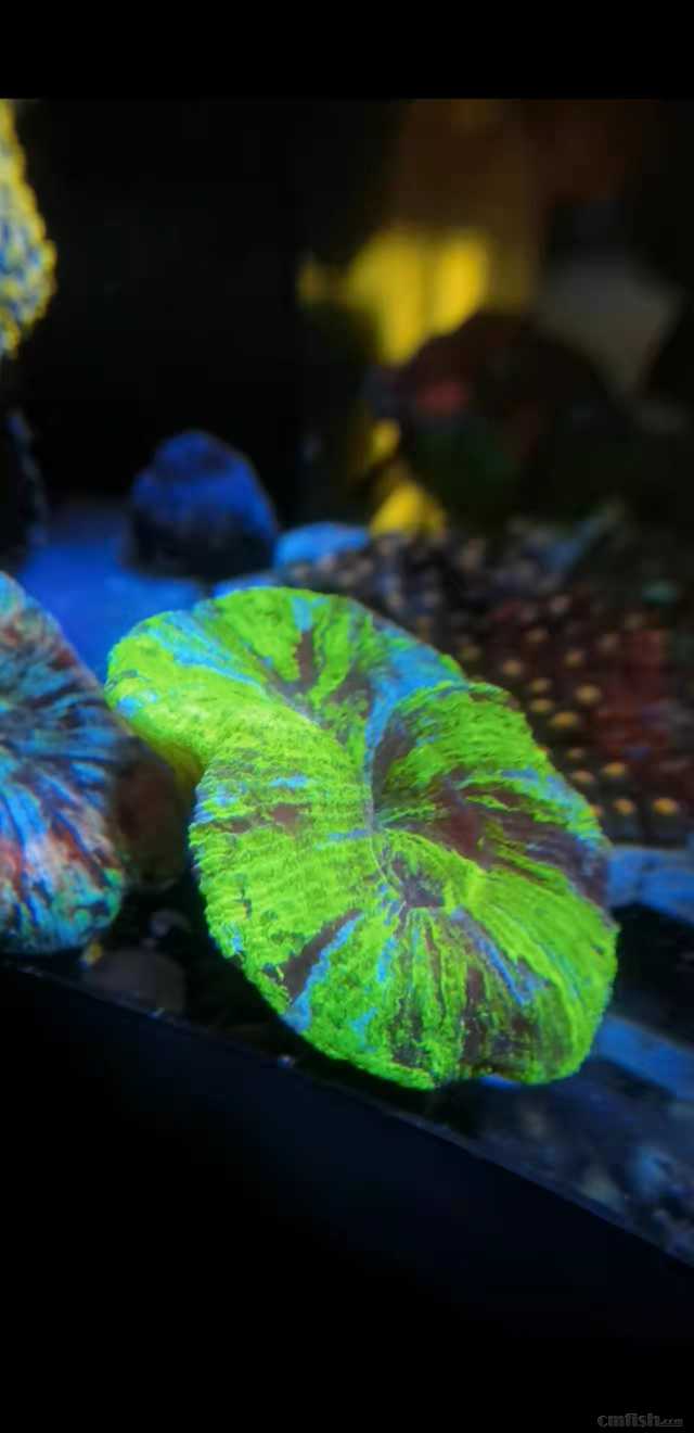 ΢��ͼƬ_20220324171915.jpg