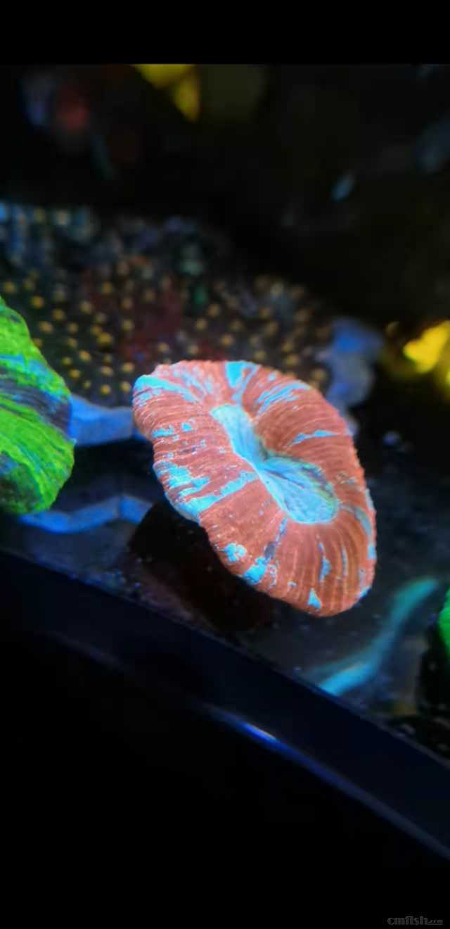 ΢��ͼƬ_20220324171918.jpg