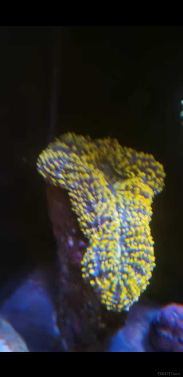 ΢��ͼƬ_20220324171922.jpg