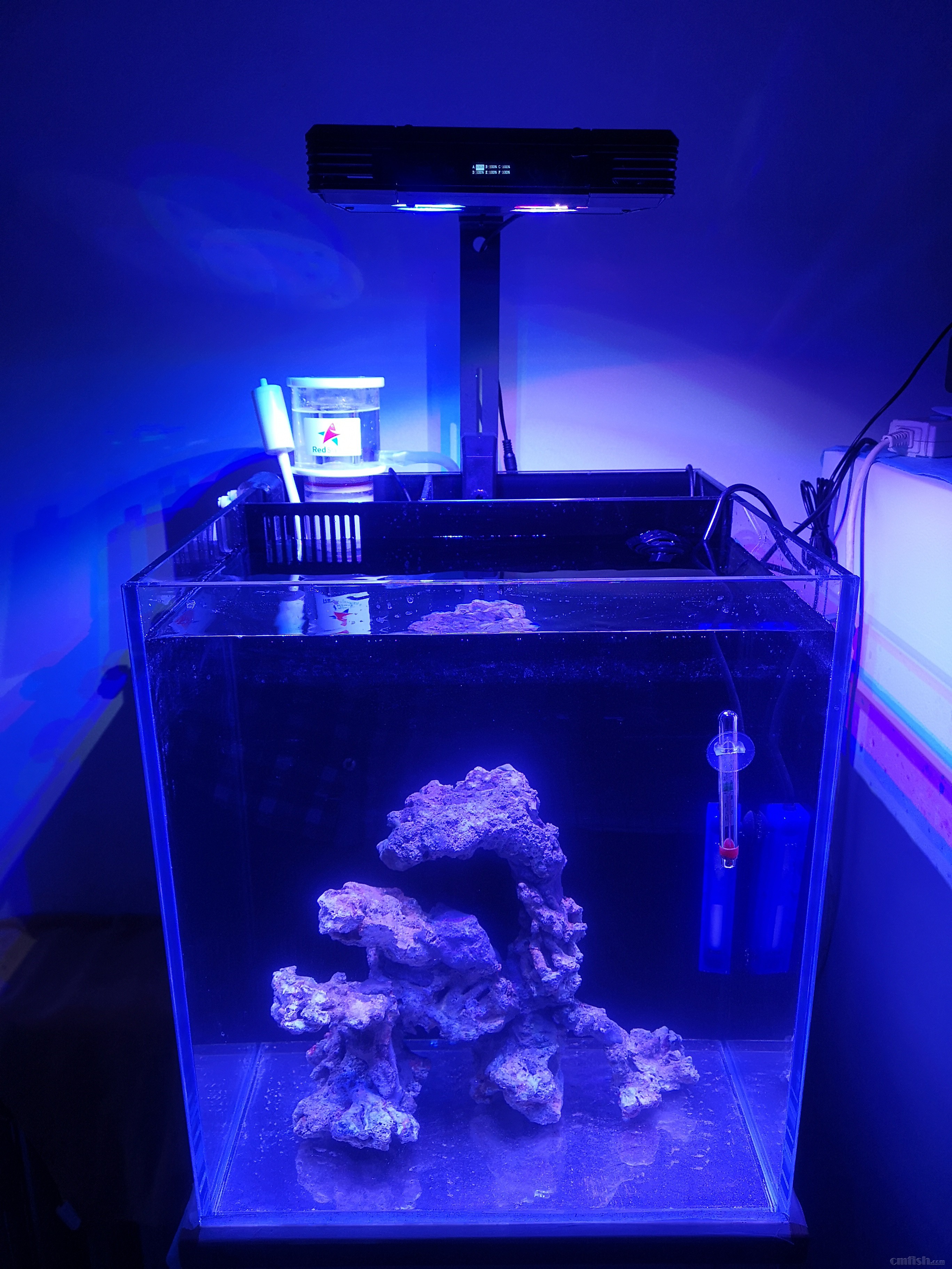 ��ճ��ʯͷ���