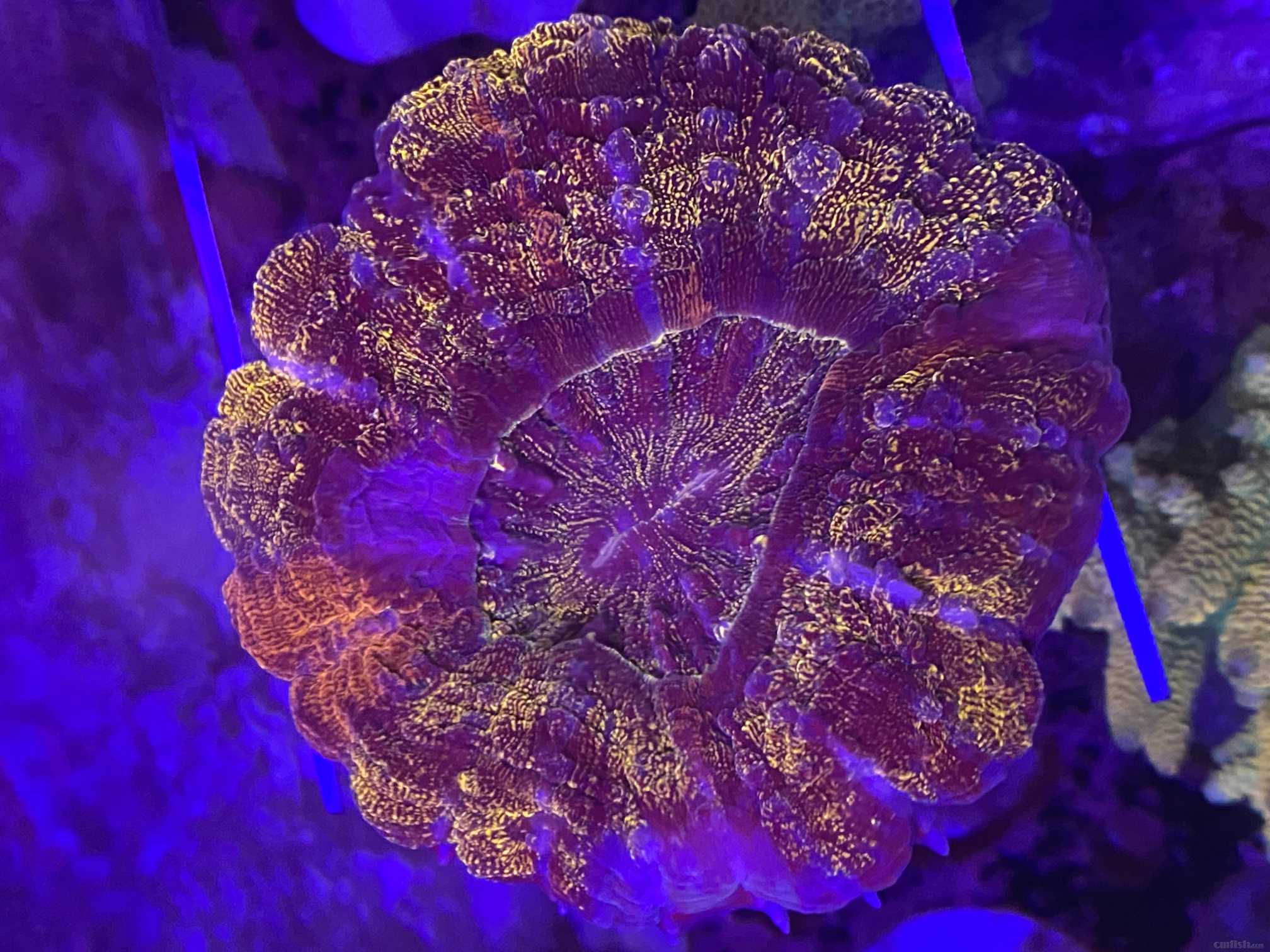 ΢��ͼƬ_20220330211719.jpg