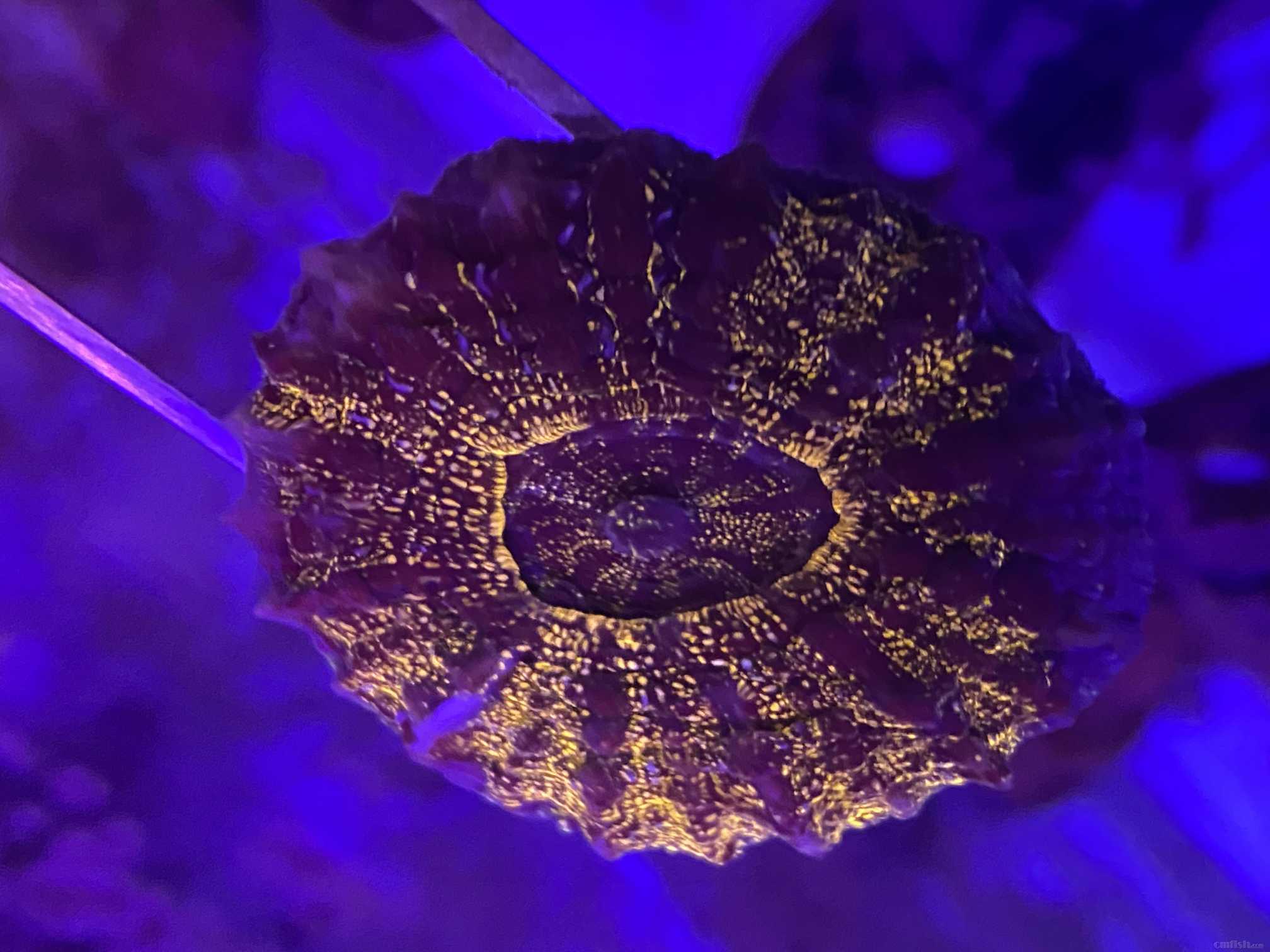 ΢��ͼƬ_20220330211721.jpg