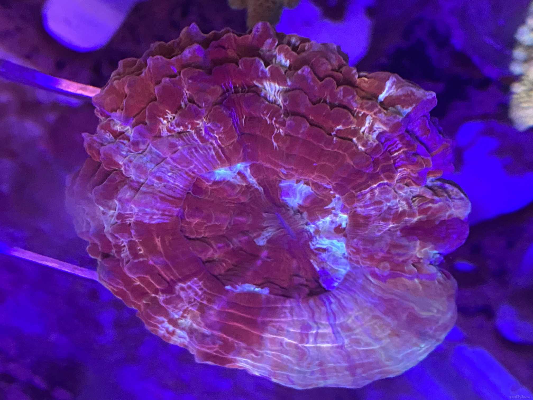 ΢��ͼƬ_20220330211724.jpg