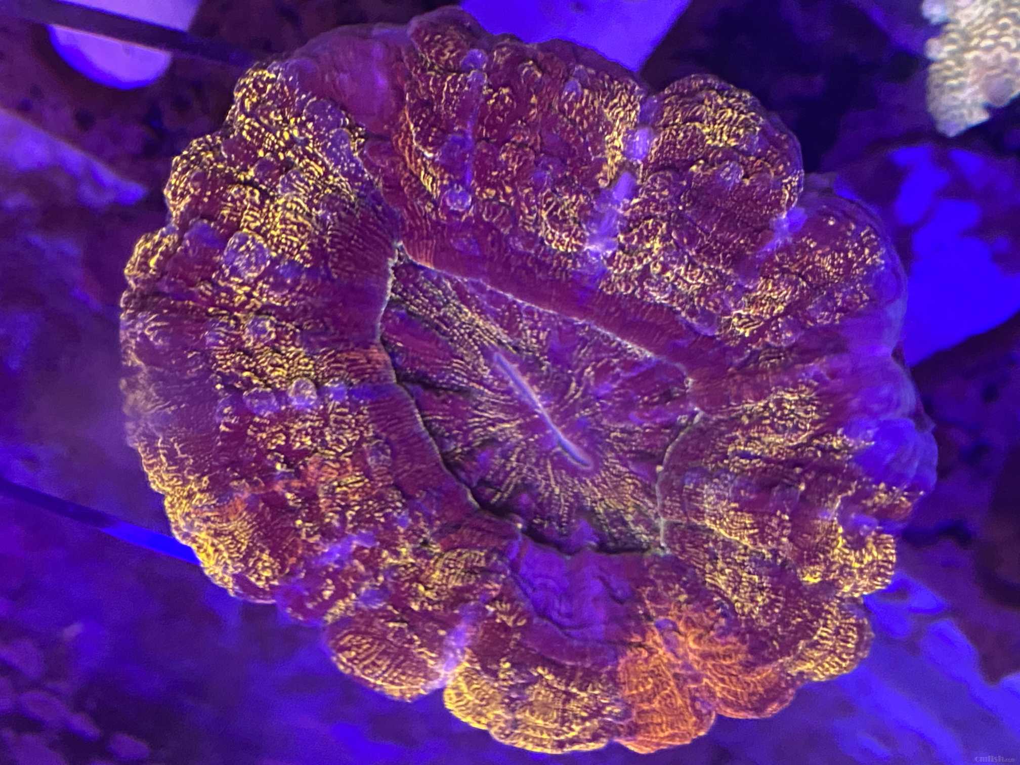 ΢��ͼƬ_20220330211725.jpg