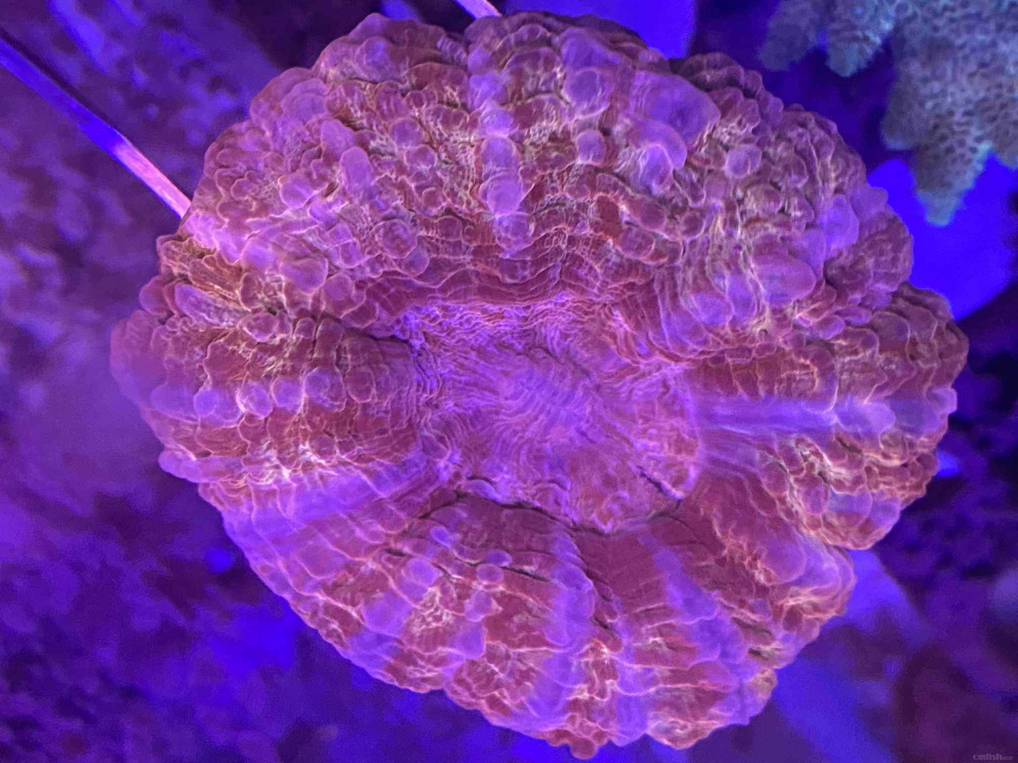 ΢��ͼƬ_20220330211727.jpg