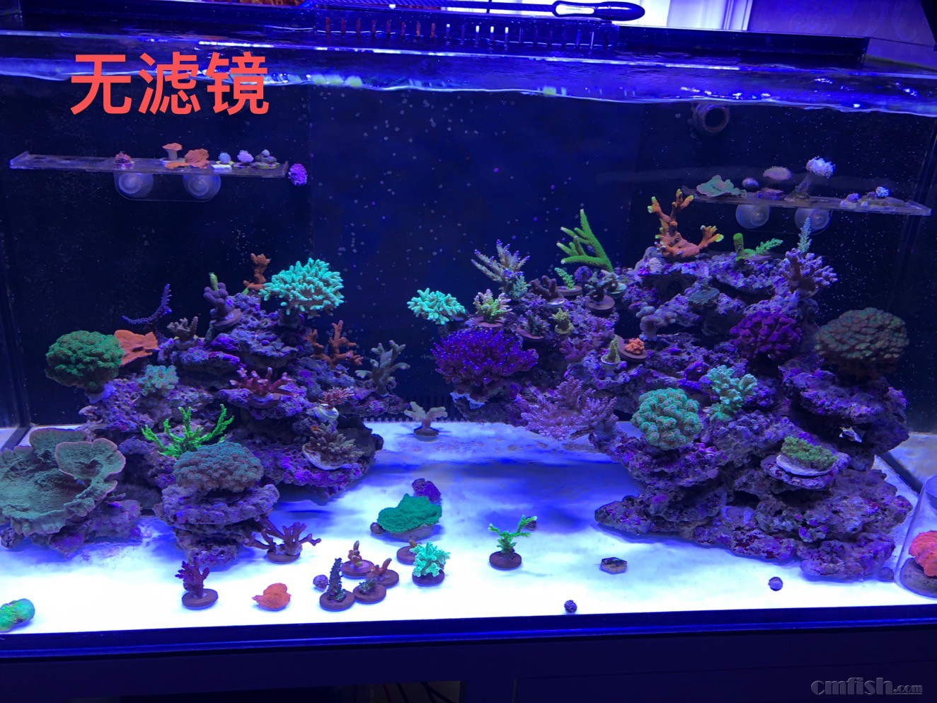 EBBF8D4D-A380-425C-8E17-80D3D13743A2.jpeg
